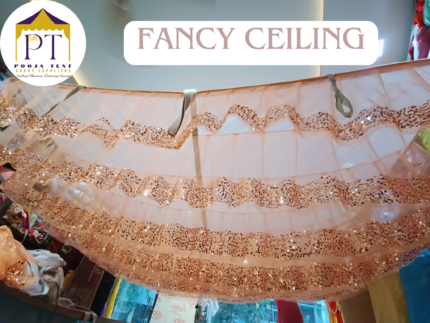 PEACH DESIGNER CEILING